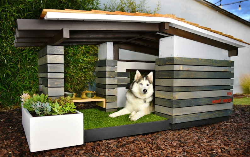 Modern Dog House. Mid Century Ranch