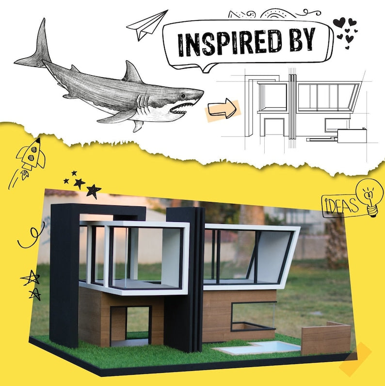 🐱🦈 Shark-shaped cat house | Unique design x warm and comfortable 🏡