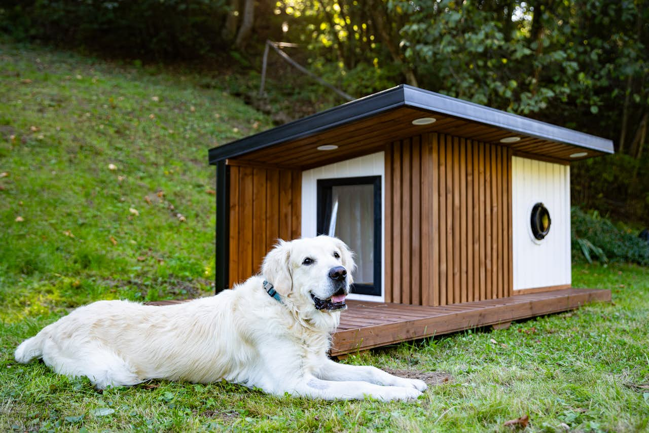 Thermally insulated dog kennel with underfloor heating and exterior LED lighting.