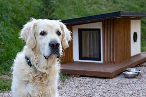 Thermally insulated dog kennel with underfloor heating and exterior LED lighting.