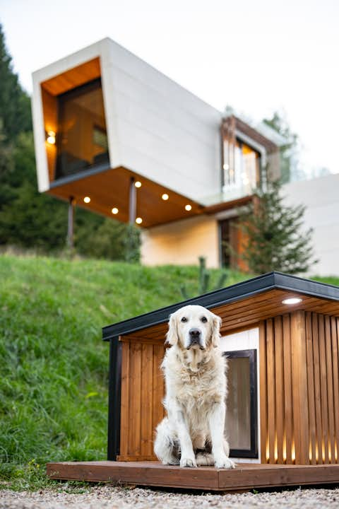 Thermally insulated dog kennel with underfloor heating and exterior LED lighting.