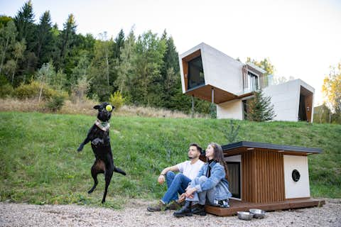 Thermally insulated dog kennel with underfloor heating and exterior LED lighting.