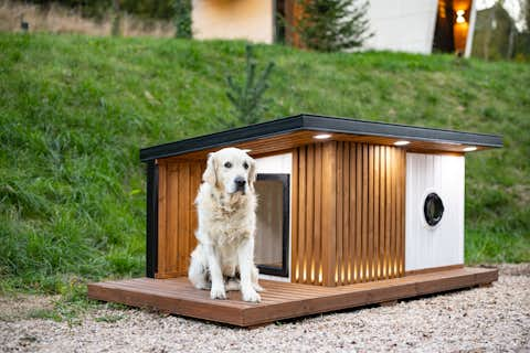 Thermally insulated dog kennel with underfloor heating and exterior LED lighting.